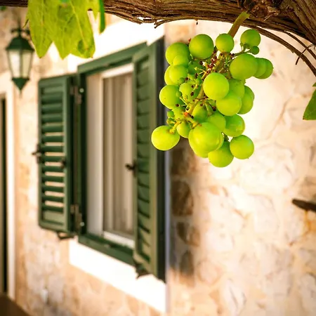 בית נופש In 6275 *